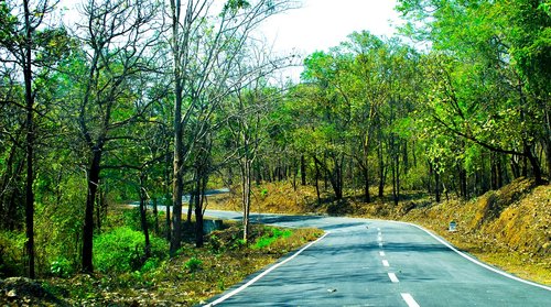 road  landscape  away