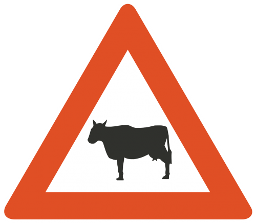 road information cattle