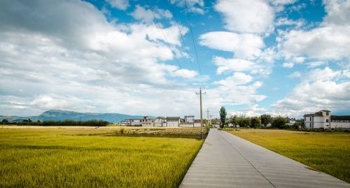 road in rice field blue sky and white clouds