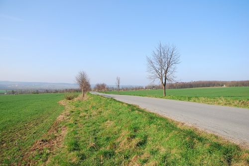 road country field