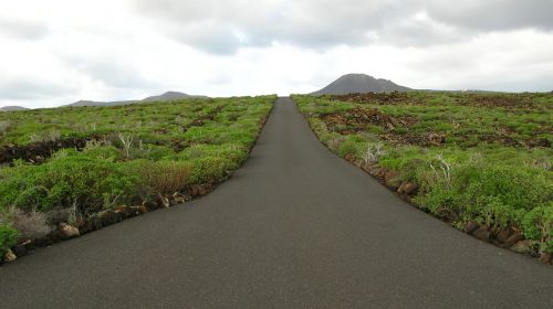 road green landscape