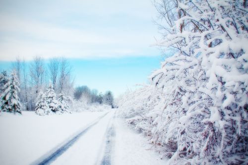 road snowy road winter