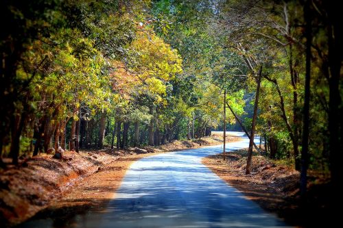 road beautiful nature