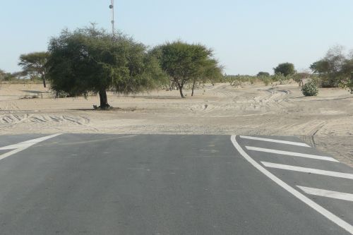 road tree africa