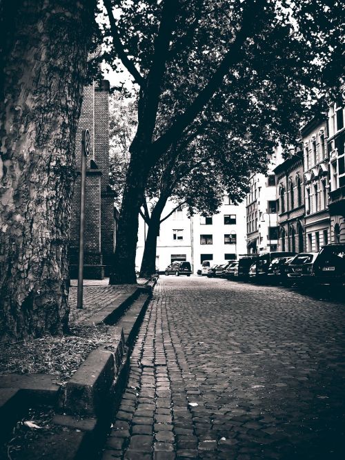 road cobblestones black and white