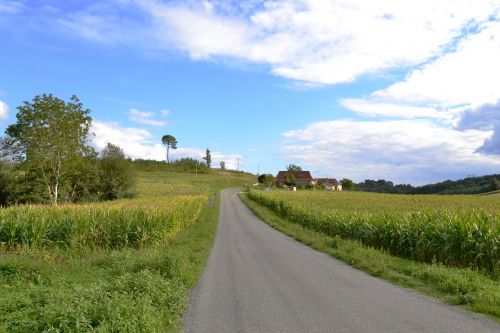 road path corn field