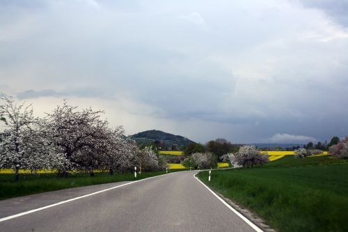 road rapeseed fields spring