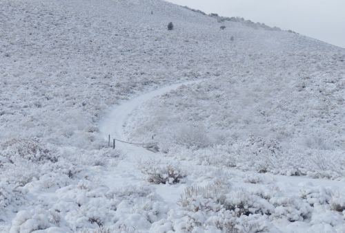 Road In Snow