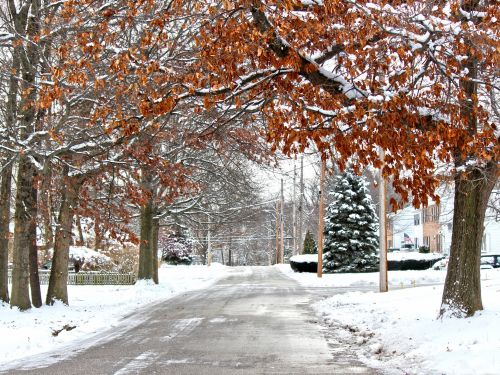 Road In Winter