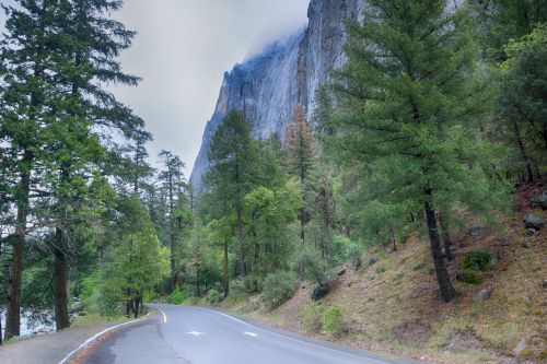 Road In Yosemite National Park