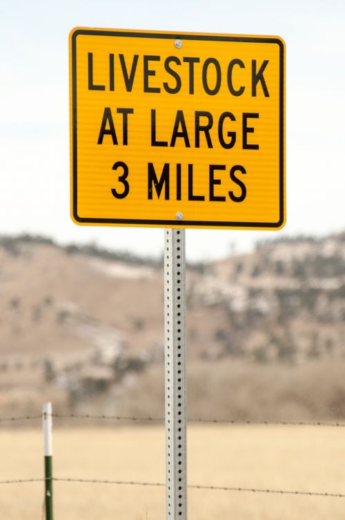 road sign sign livestock at large