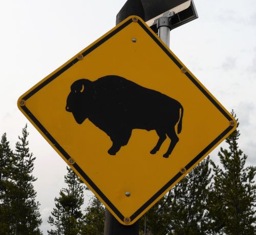 road sign bison yellow