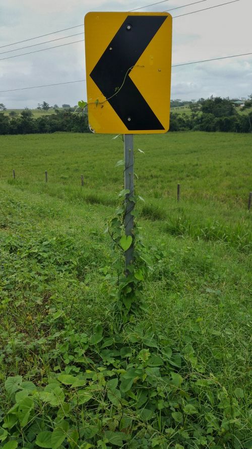 road signs yellow reflector