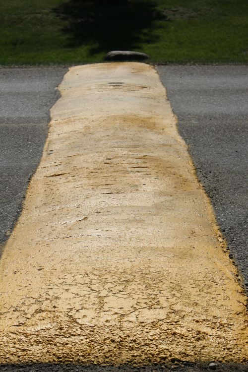 Road Speed Bump