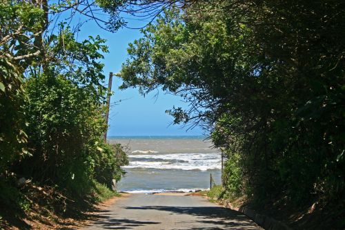 Road To The Sea