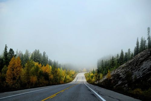 roadway autumn landscape landscape