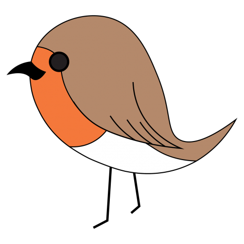 robin bird vector