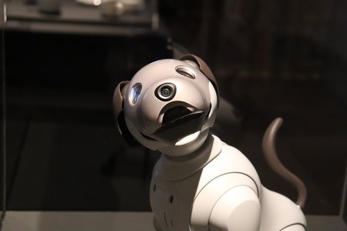 robot  animal  dog
