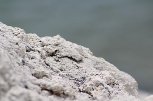 roche macro pierre