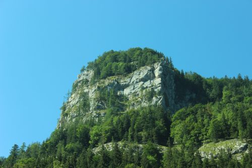 rock forest mountain