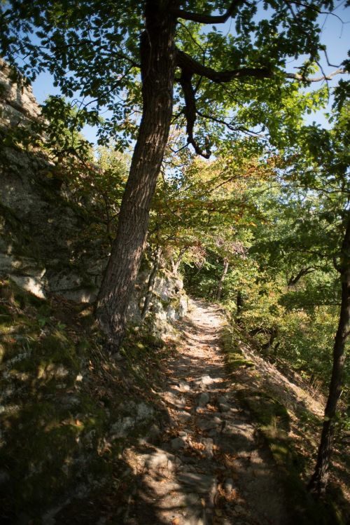 rock stones nature