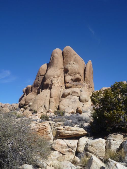 rock joshua tree national park