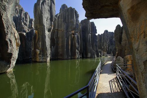 rock stone forest china