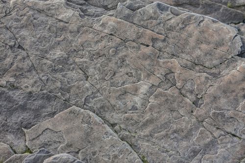 rock texture stone