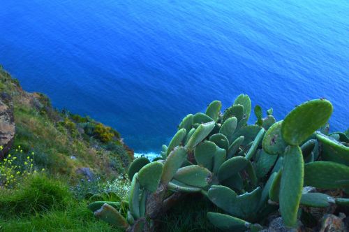 rock natur atlantic