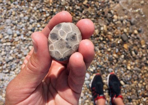 rock hunting stone