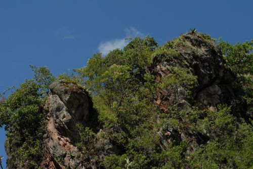 rock mount nature