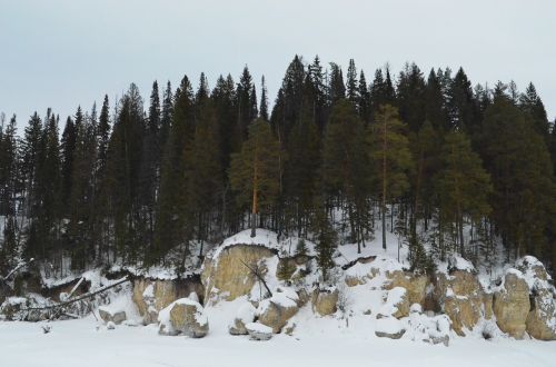 rock forest nature