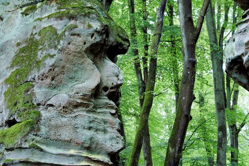 rock  eifel  cliff