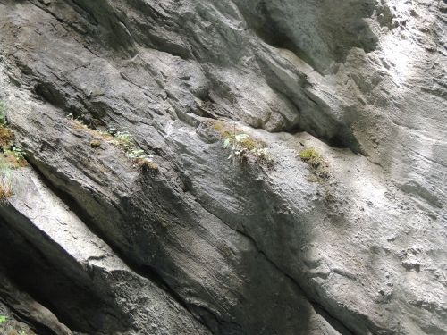 rock grey stones