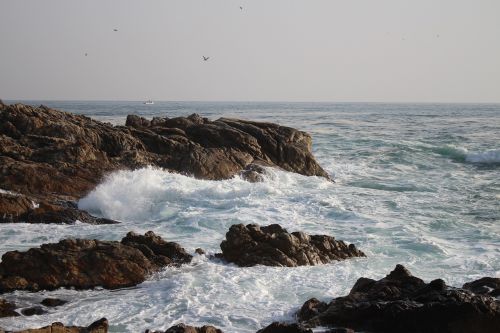 rock waves sea