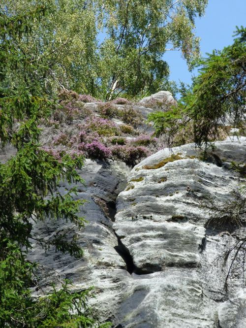 rock flowers teplice