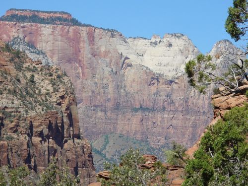 rock zion national park landscape