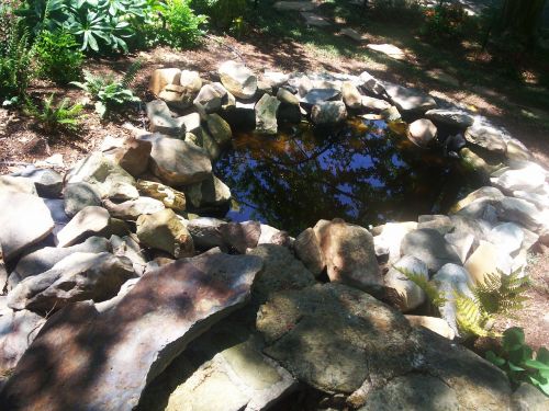 rock pond water