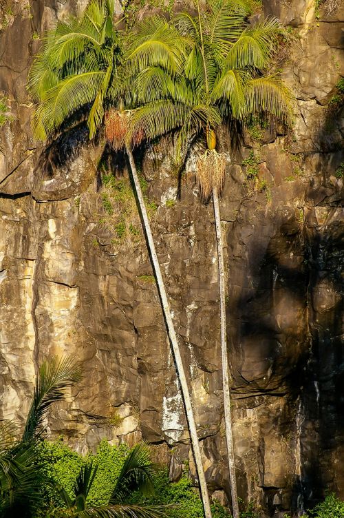 rock cliff steep