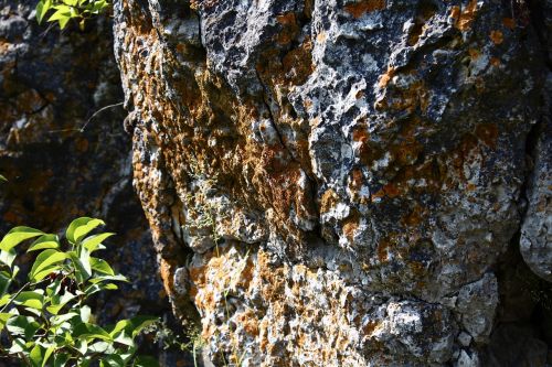 rock moss stone