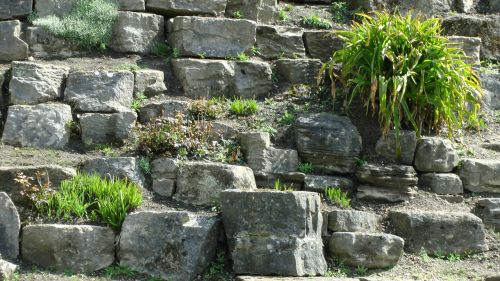 Rock Garden Wall