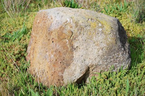 Rock In Grass