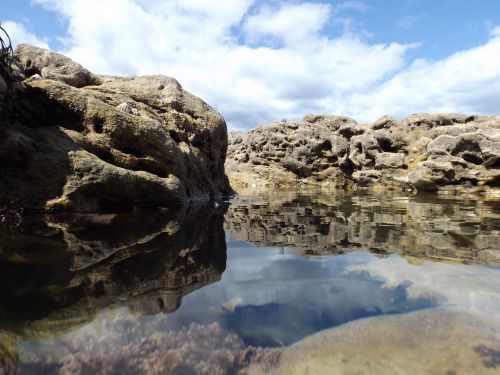 rock pools seashore seaside