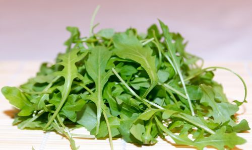 rocket plant salad