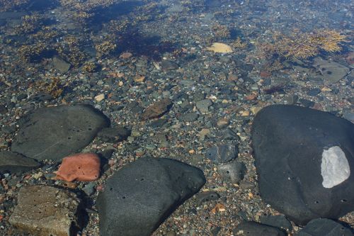 rocks beach coast