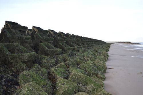 rocks beach breakwater