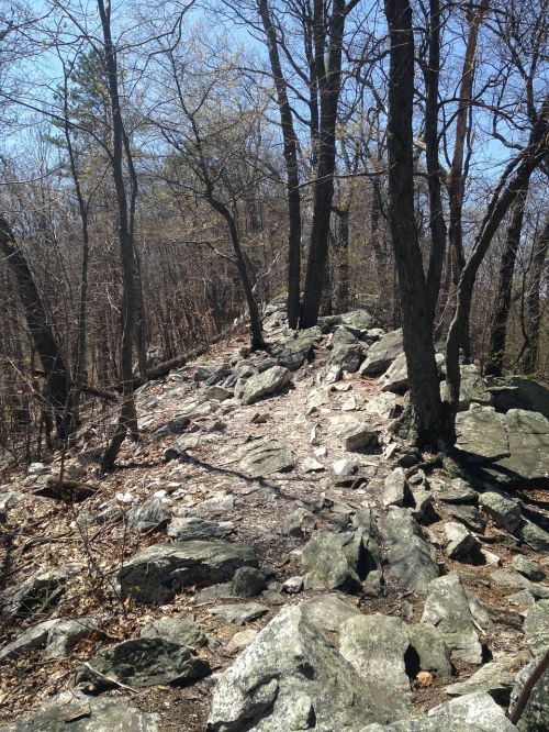 rocks nature hiking