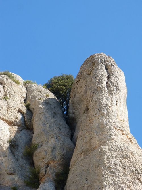 rocks needle rock tree