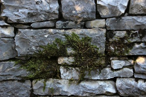 rocks stone wall moss