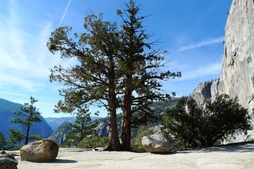 rocks mountains tree